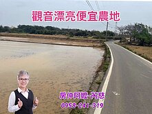 觀音/新坡/新林路農地