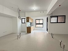 寶象藏三豐全新未住2房平車