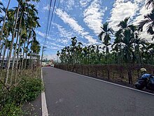 專~麟洛近屏東市區6米活巷面寬有水有電方正漂亮農地