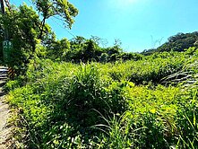  橫山【合興車站】台三線旁一塊好地~出就談