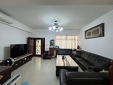 新豐學區大型社區透天別墅