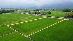 三星36米大面寬低落差美農地