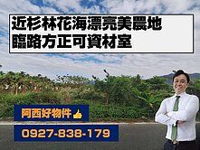 獨賣可農保資材室有景點花海的漂亮農地