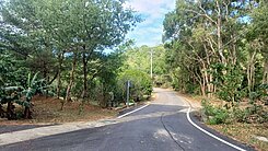 通宵農地近飛牛牧場