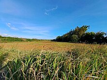 🎖️卓悅聯盟🎖️和悅~新竹新豐後湖子特定農業區