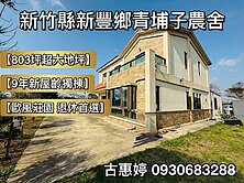 青埔子☆803坪傳世莊園．9年新造歐風農舍