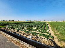 近新化外環道路方正農地