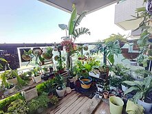 今日不買，明日後悔❗漾CITY三房平移車位｜楠梓