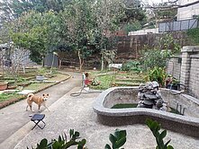 非常好談！王爺壟旁農+建 豪華別墅