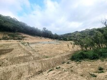 降價苗栗通霄農牧用地▲看見800株芭樂遇見山嵐的美