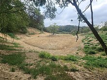 苗栗通霄農牧用地▲讓你看見800株芭樂遇見山嵐的美