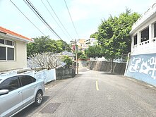 威靈頓美式管理別墅~超景觀大庭院~土地154坪