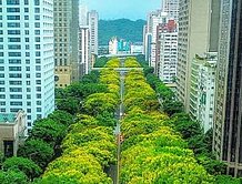 敦化南路林蔭景觀3房 富邦大陸工程抗震7級石材建築