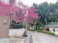 平鎮車站.玫瑰花園雙車位別墅