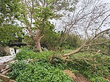 田+建236坪~近66快速路