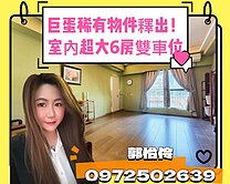 巨蛋商圈核心｜超大1+2樓使用空間｜雙平車尊貴宅