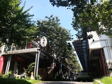 @真便宜~苗栗三義木雕博物館透天可當現成房東