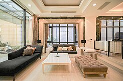 亮✨美術館精緻大面寬雙併電梯豪墅