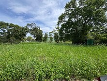 🌟龍潭。耘夢莊園。超值窯業用地