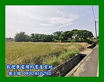 白河都計內開心農場