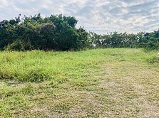 岡山⭐30米路旁⭐都內農地✔️近交流道✔️稀有釋