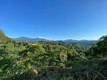 東勢 景觀視野休閒農地 6米路有平台 多塊可選 