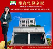 員林全新百坪雙車電梯別墅