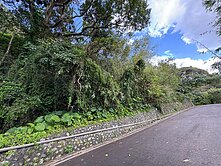 🍀台灣房屋Ace♠️天母天玉段二小段農地