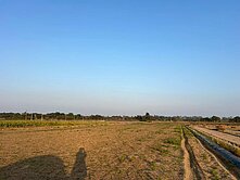 專約🍀善化小新營六分美農地 