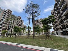 光合市沐曦區三房+車位