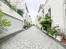 善化台積電三角窗大地坪大面寬雙車墅