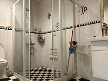 ⭐️平鎮復旦獨棟豪邸⭐️