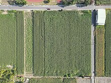 安定國中旁💕城鄉發展第一類💕	交流道、都計農地