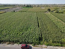 安定國中、交流道、都計農地未來發展潛力區