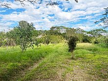 左鎮區光和段果園農地