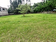 😍😍獨家-買建地自己設計淺水灣別墅😍😍