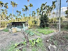 水里1.5甲平坦美農地