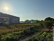 環中路旁近綠美圖農地