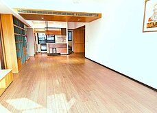 湖美天河大四房平面車位