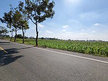 前後臨路｜10米鄉道旁方正農地🔥出價即談🔥