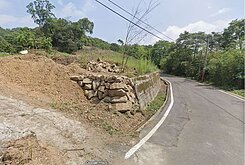 近五指山便宜林地