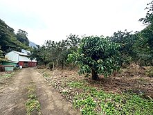 ✳️復興區高坡段-北橫之星1707坪原保地✳️