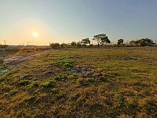 湖內信義路大面寬空地｜長期增值標的