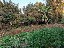 專委🍎新屋10米路農地附農舍（未保存登記）🍎