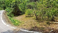 竹崎有水有電美農地