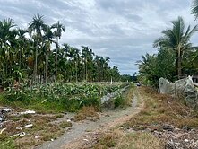 屏東市鹽埔鄉開心農場大地坪可自由耕作悠閒生活
