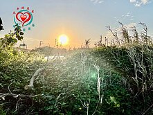 專-大園西濱內海墘農地🍎同心圓玲子彩瑄