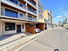 埔心市區雙車電梯別墅