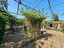 (專)保大路邊含資材室開心美農場