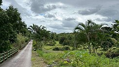花蓮吉安近秧悅酒店平整草地美農地UE023F